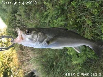 �����Х�