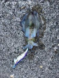 �����ꥤ��