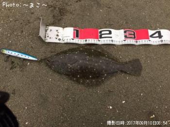 ¥µ¡¼¥Õ¥·¡¼¥Ð¥¹