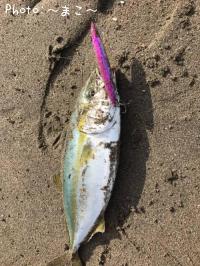 ¥µ¡¼¥Õ¥·¡¼¥Ð¥¹