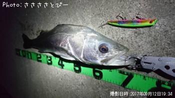 �����Х�