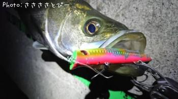 �����Х�