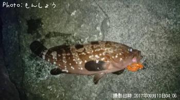 �����ϥ�