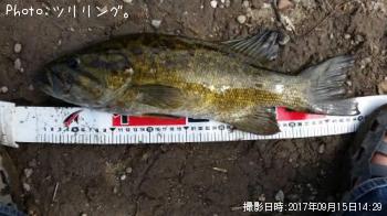 ���⡼��ޥ����Х�