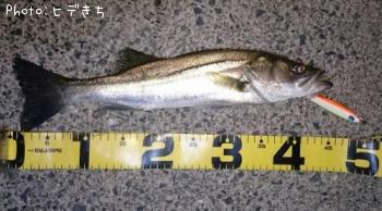 �����Х�