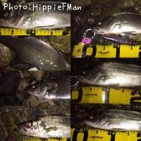 �����Х�