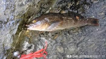 �����ʥ�