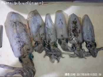 �����ꥤ��