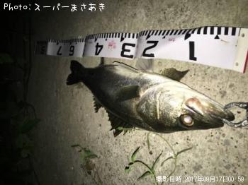 �����Х�