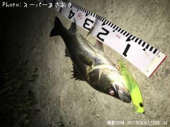 �����Х�