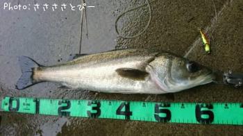 �����Х�