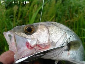 �����Х�