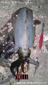 �����ꥤ��