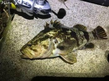 ¥¿¥±¥Î¥³¥á¥Ð¥ë