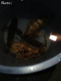 ¥á¥Ð¥ë¡¦¥¬¥é¥«¥Ö