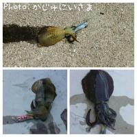 �����ꥤ��