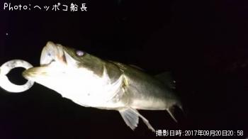 �����Х�