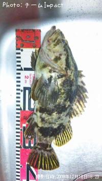 ¥¿¥±¥Î¥³¥á¥Ð¥ë