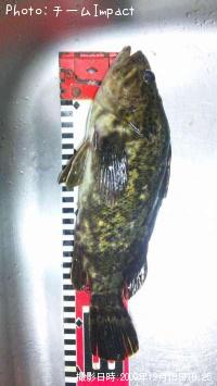 �����Υ���Х�