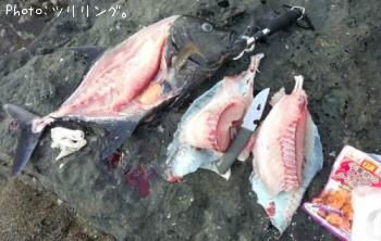 ¥¯¥í¥«¥Ã¥Ý¥ì