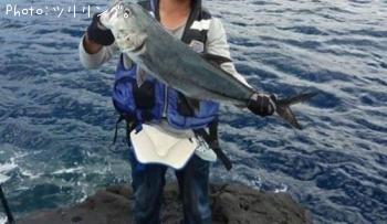 ���󥬥ᥢ��