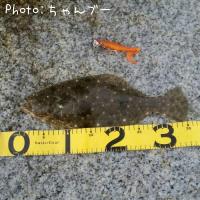 �ҥ��ʤ�����