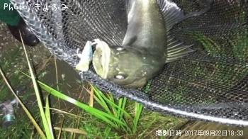 �����Х�