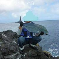 �����ߥ���