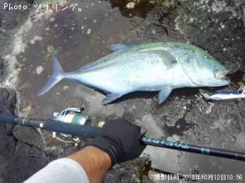 �����ߥ���