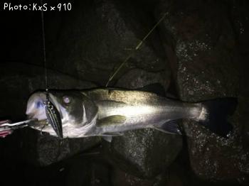 �����Х�