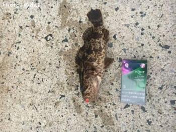 �����Υ���Х�