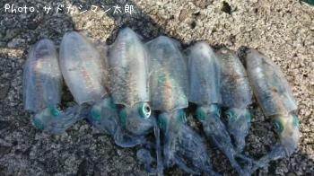 �����ꥤ��