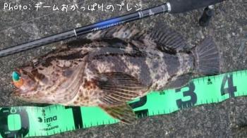 �����Υ���Х�