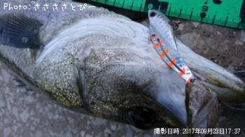 �����Х�