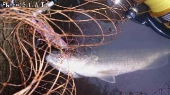 �֥�å��Х�