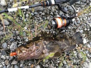 ¥¿¥±¥Î¥³¥á¥Ð¥ë