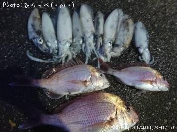 �����ꥤ��