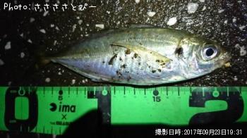 ��������Х�������Х����᥸��