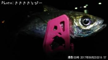 ��������Х�������Х����᥸��