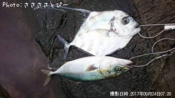 ���ʥ������ȥҥ�����