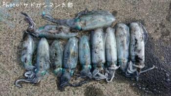 �����ꥤ��