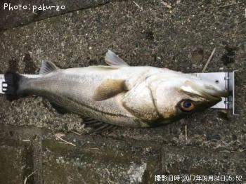 �����Х�