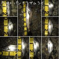 �����Х�