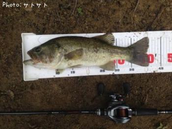 �֥�å��Х�