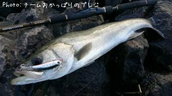 �����Х�