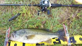 �֥�å��Х�