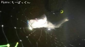 �����Х�