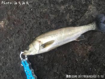 �����Х�