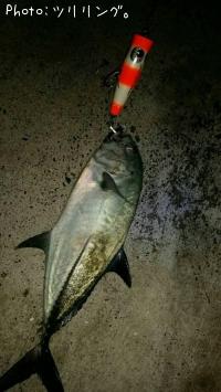 ���󥬥ᥢ��