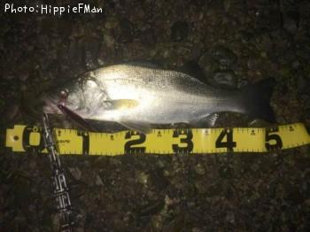 �ҥ饹����